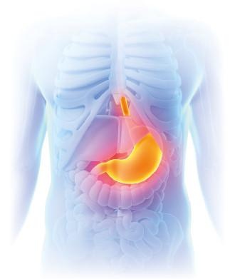 Иллюстрация к книге — Как избавиться от боков, "ушей" и "галифе" [i_045.jpg]