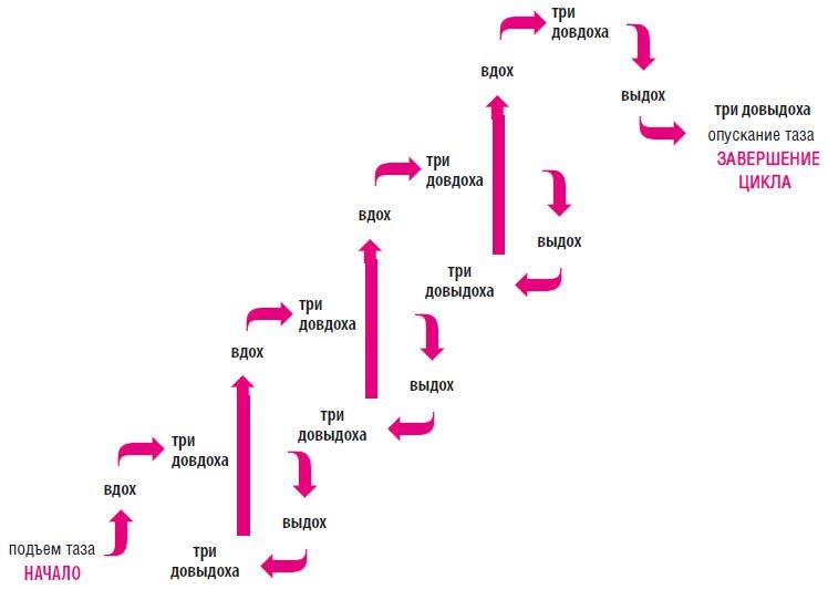 Иллюстрация к книге — Как избавиться от боков, "ушей" и "галифе" [i_050.jpg]