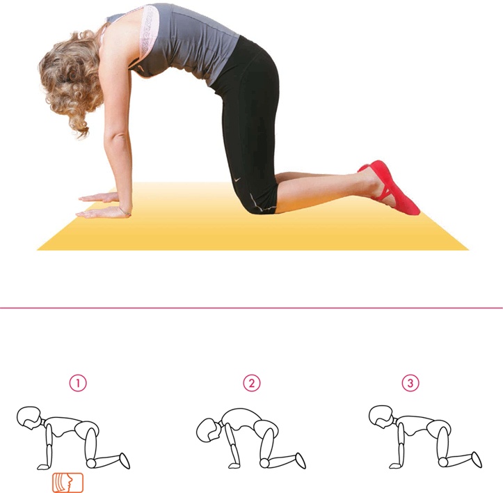 Иллюстрация к книге — Бодифлекс для лица и тела [i_061.jpg]