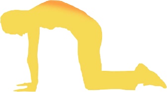 Иллюстрация к книге — Бодифлекс для лица и тела [i_062.jpg]