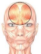 Иллюстрация к книге — Бодифлекс для лица и тела [i_092.jpg]