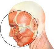 Иллюстрация к книге — Бодифлекс для лица и тела [i_107.jpg]