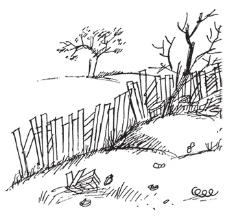 Иллюстрация к книге — Малыш Николя и его друзья [i_020.jpg]