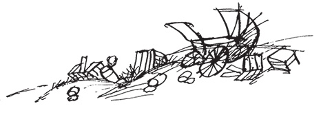 Иллюстрация к книге — Малыш Николя и его друзья [i_023.jpg]