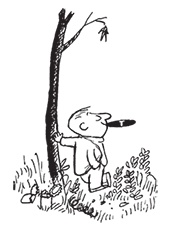 Иллюстрация к книге — Малыш Николя [i_079.jpg]