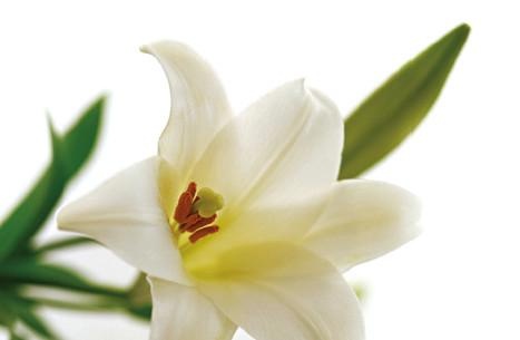 Иллюстрация к книге — Как убрать живот [i_012.jpg]