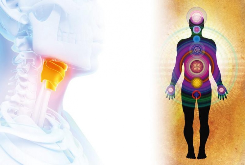 Иллюстрация к книге — Как убрать живот [i_018.jpg]