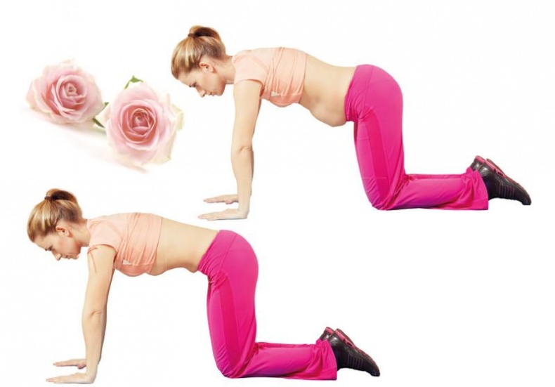 Иллюстрация к книге — Как убрать живот [i_027.jpg]