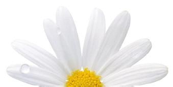 Иллюстрация к книге — Как убрать живот [i_065.jpg]