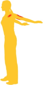 Иллюстрация к книге — Оксисайз. Худей без задержки дыхания [i_035.jpg]