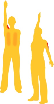 Иллюстрация к книге — Оксисайз. Худей без задержки дыхания [i_039.jpg]