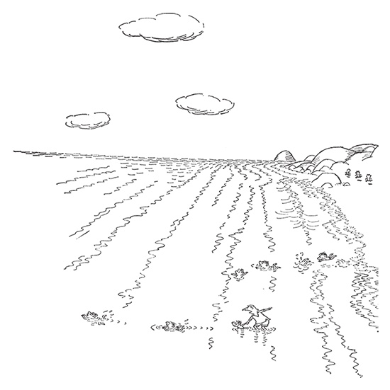 Иллюстрация к книге — Каникулы малыша Николя [i_078.jpg]