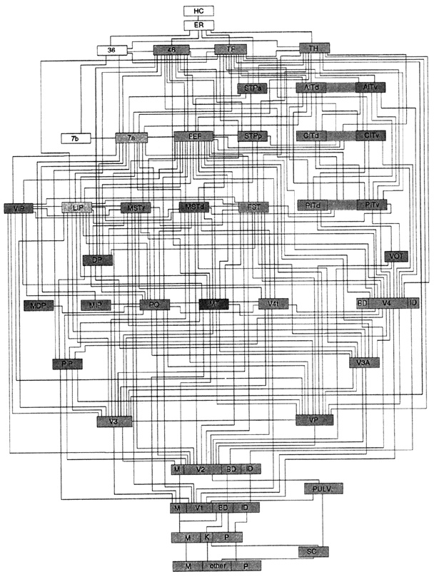 Иллюстрация к книге — Чистый лист. Природа человека. Кто и почему отказывается признавать ее сегодня [i_002.jpg]