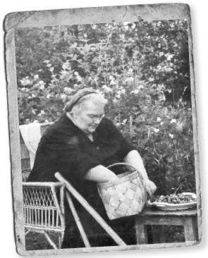 Иллюстрация к книге — Мемуары двоечника [i_009.jpg]