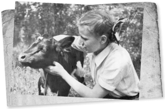 Иллюстрация к книге — Мемуары двоечника [i_024.jpg]