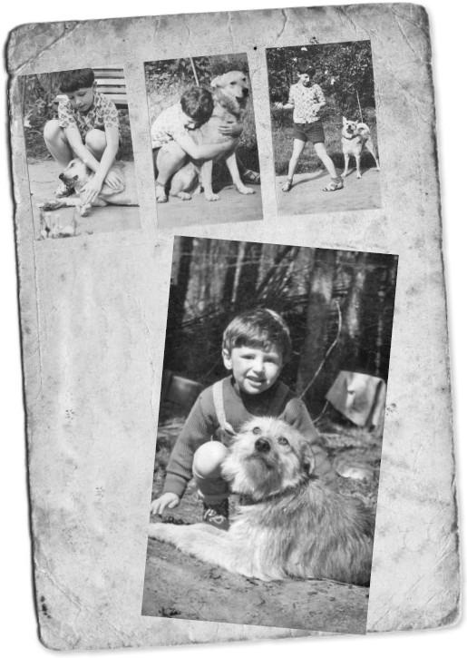 Иллюстрация к книге — Мемуары двоечника [i_033.jpg]