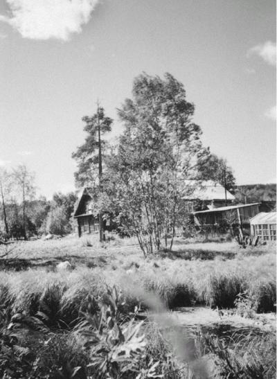 Иллюстрация к книге — Лосев [i_057.jpg]