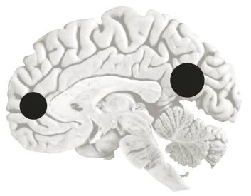 Иллюстрация к книге — Зависимый мозг. От курения до соцсетей. Почему мы заводим вредные привычки и как от них избавиться [i_005.jpg]