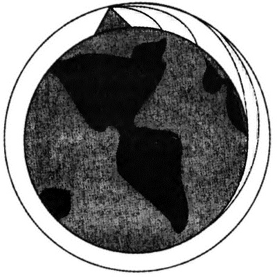 Иллюстрация к книге — Страх физики. Сферический конь в вакууме [i_008.jpg]