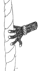 Иллюстрация к книге — Марго Синие Уши [i_020.jpg]