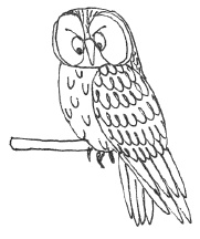 Иллюстрация к книге — Марго Синие Уши [i_050.jpg]