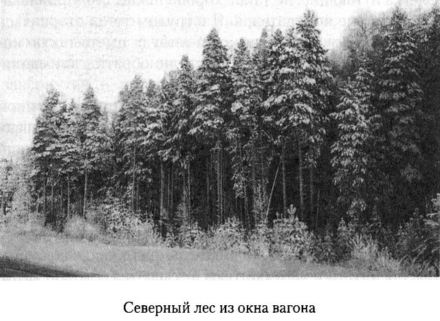 Иллюстрация к книге — Дом над Двиной [i_002.jpg]