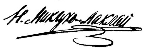 Иллюстрация к книге — Миклухо-Маклай. Две жизни "белого папуаса" [i_004.jpg]