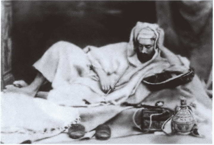 Иллюстрация к книге — Миклухо-Маклай. Две жизни "белого папуаса" [i_016.jpg]