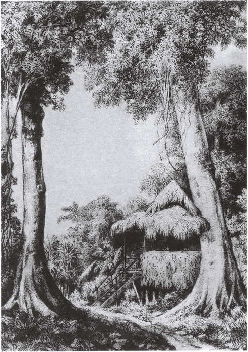 Иллюстрация к книге — Миклухо-Маклай. Две жизни "белого папуаса" [i_030.jpg]