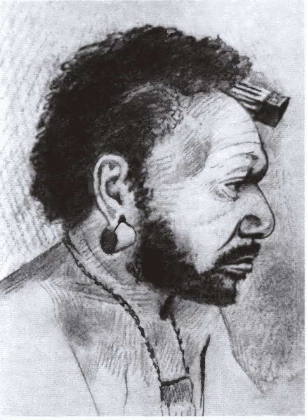 Иллюстрация к книге — Миклухо-Маклай. Две жизни "белого папуаса" [i_031.jpg]