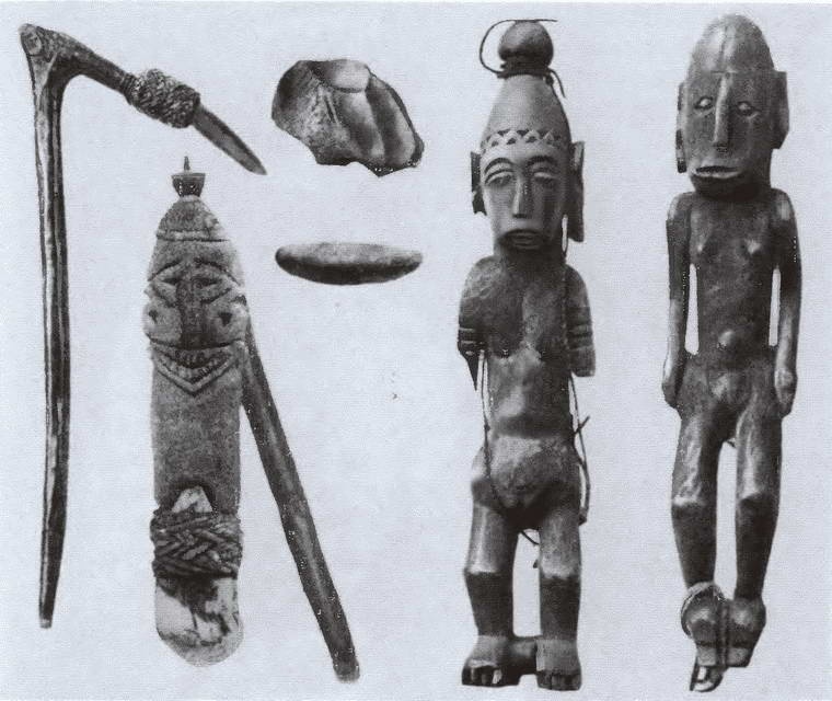 Иллюстрация к книге — Миклухо-Маклай. Две жизни "белого папуаса" [i_036.jpg]