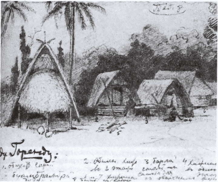 Иллюстрация к книге — Миклухо-Маклай. Две жизни "белого папуаса" [i_037.jpg]