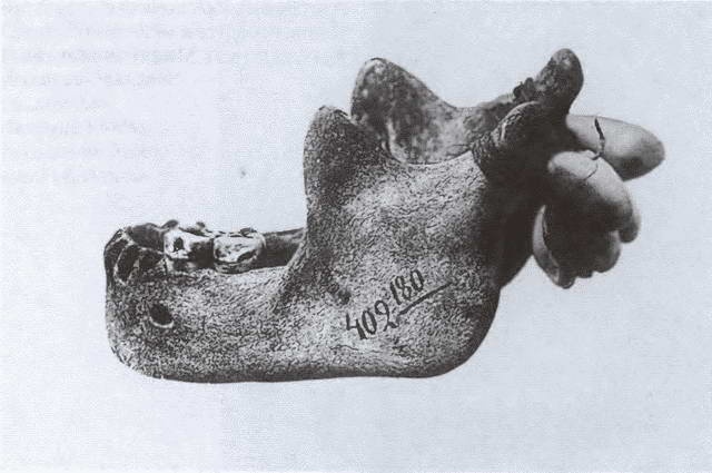 Иллюстрация к книге — Миклухо-Маклай. Две жизни "белого папуаса" [i_051.jpg]