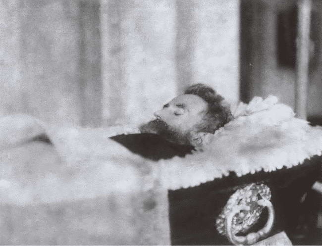 Иллюстрация к книге — Миклухо-Маклай. Две жизни "белого папуаса" [i_071.jpg]