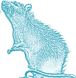 Иллюстрация к книге — Билет до Луны [i_018.jpg]