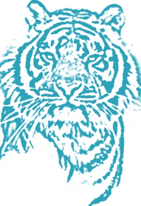 Иллюстрация к книге — Билет до Луны [i_032.jpg]