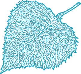 Иллюстрация к книге — Билет до Луны [i_042.jpg]