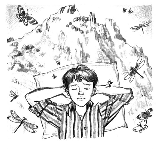 Иллюстрация к книге — Тайна горы, или Портрет кузнечика [i_006.jpg]