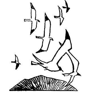 Иллюстрация к книге — Солнце на дороге [i_011.jpg]