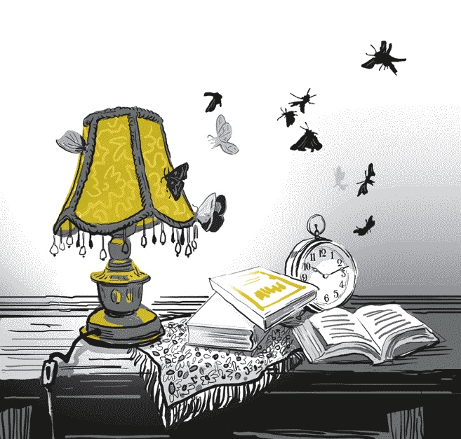 Иллюстрация к книге — Фонарик Лилька [i_009.jpg]