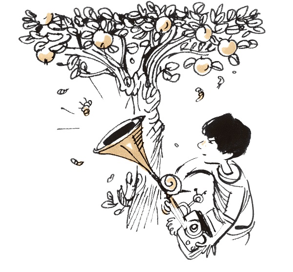 Иллюстрация к книге — Луч широкой стороной [i_016.jpg]