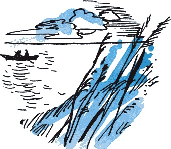 Иллюстрация к книге — Страшная тайна братьев Кораблевых [i_002.jpg]