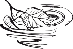 Иллюстрация к книге — Страшная тайна братьев Кораблевых [i_004.jpg]