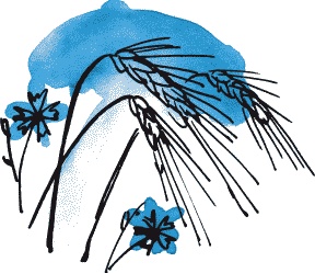 Иллюстрация к книге — Страшная тайна братьев Кораблевых [i_015.jpg]