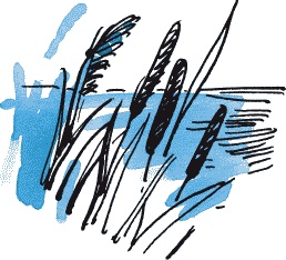 Иллюстрация к книге — Страшная тайна братьев Кораблевых [i_026.jpg]