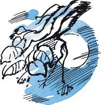 Иллюстрация к книге — Страшная тайна братьев Кораблевых [i_041.jpg]