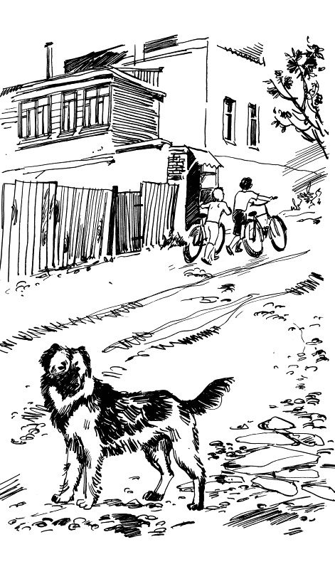 Иллюстрация к книге — Прикольные игры на Краю Света. Три повести об отрочестве [i_001.jpg]