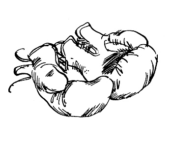 Иллюстрация к книге — Прикольные игры на Краю Света. Три повести об отрочестве [i_008.jpg]