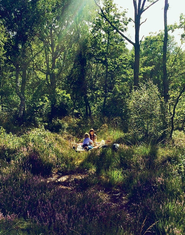 Иллюстрация к книге — Хюгге. Датское искусство счастья [i_015.jpg]