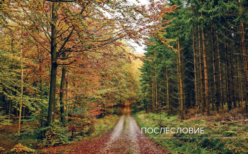 Иллюстрация к книге — Хюгге. Датское искусство счастья [i_110.jpg]